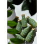 Шампунь с маслом чайного дерева для жирных волос - Essential Oil of Tea Tree Shampoo 60ml 3