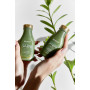 Шампунь с маслом чайного дерева для жирных волос - Essential Oil of Tea Tree Shampoo 60ml 4